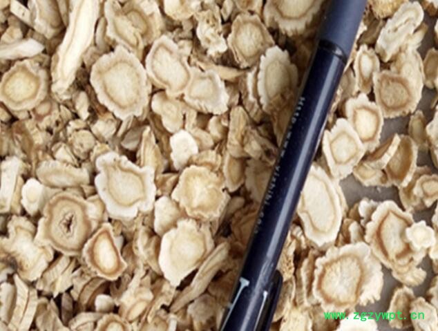 桔梗.jpg 桔梗.jpg