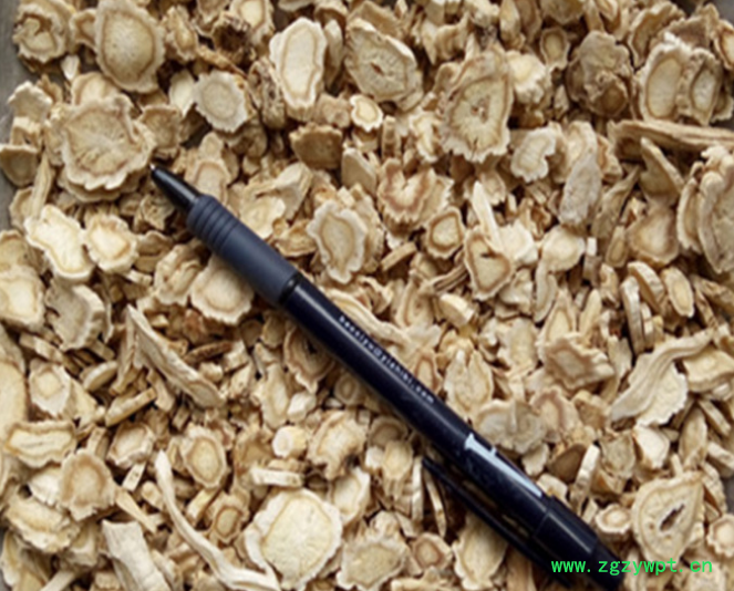 桔梗21.png 桔梗21.png