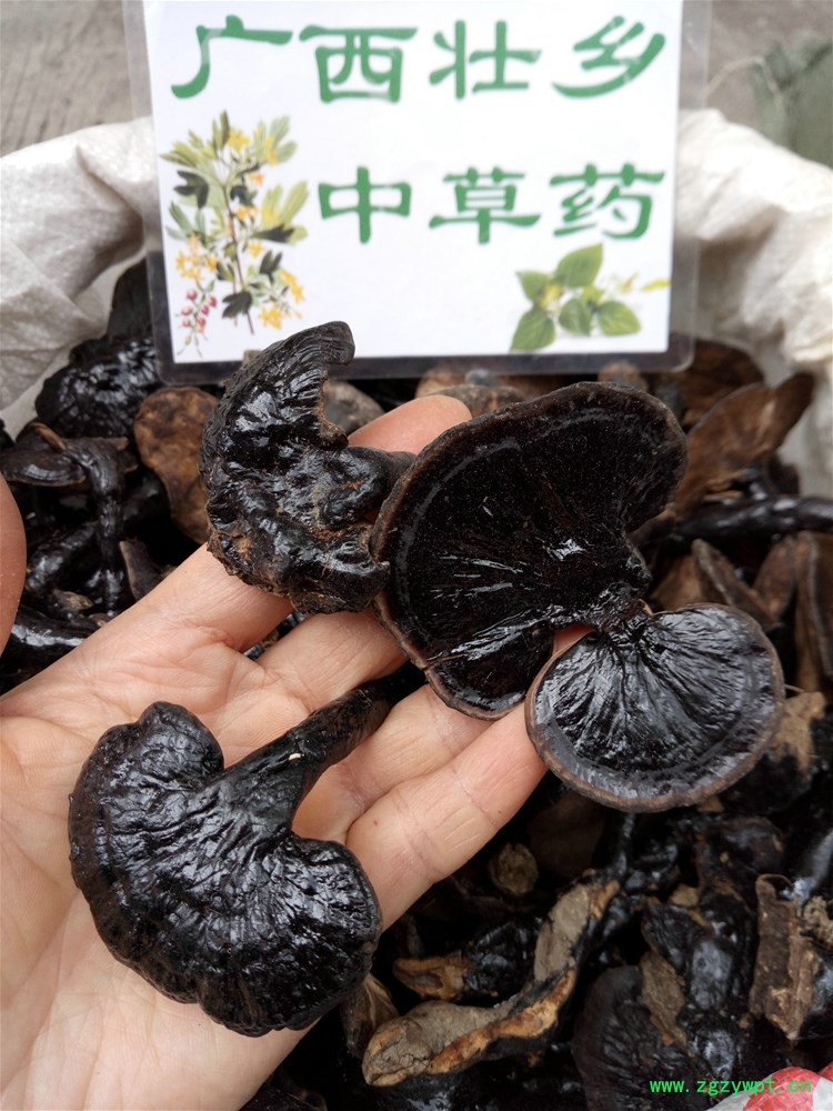 IMG_20180330_124739.jpg IMG_20180330_124739.jpg