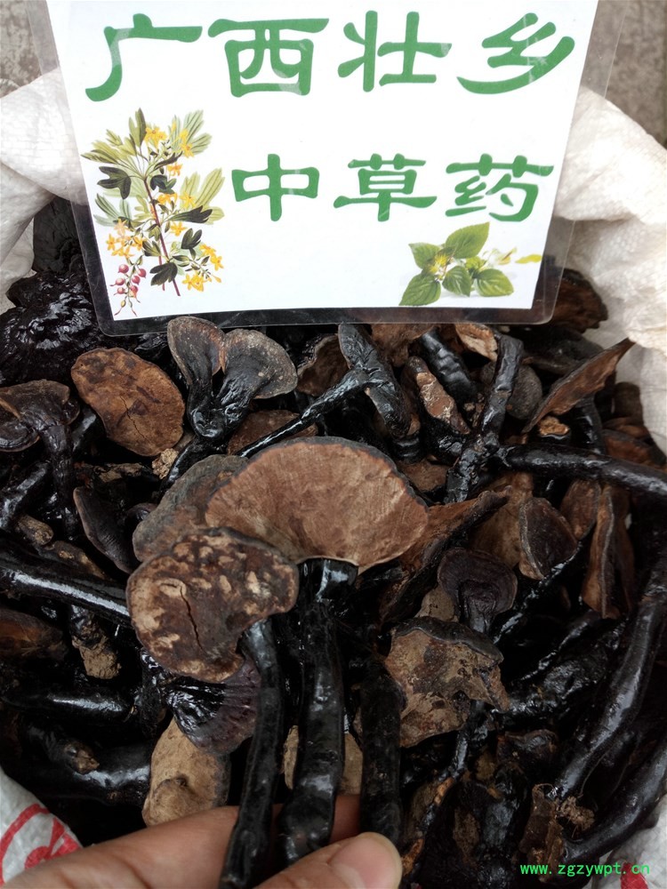 IMG_20180330_124856.jpg IMG_20180330_124856.jpg