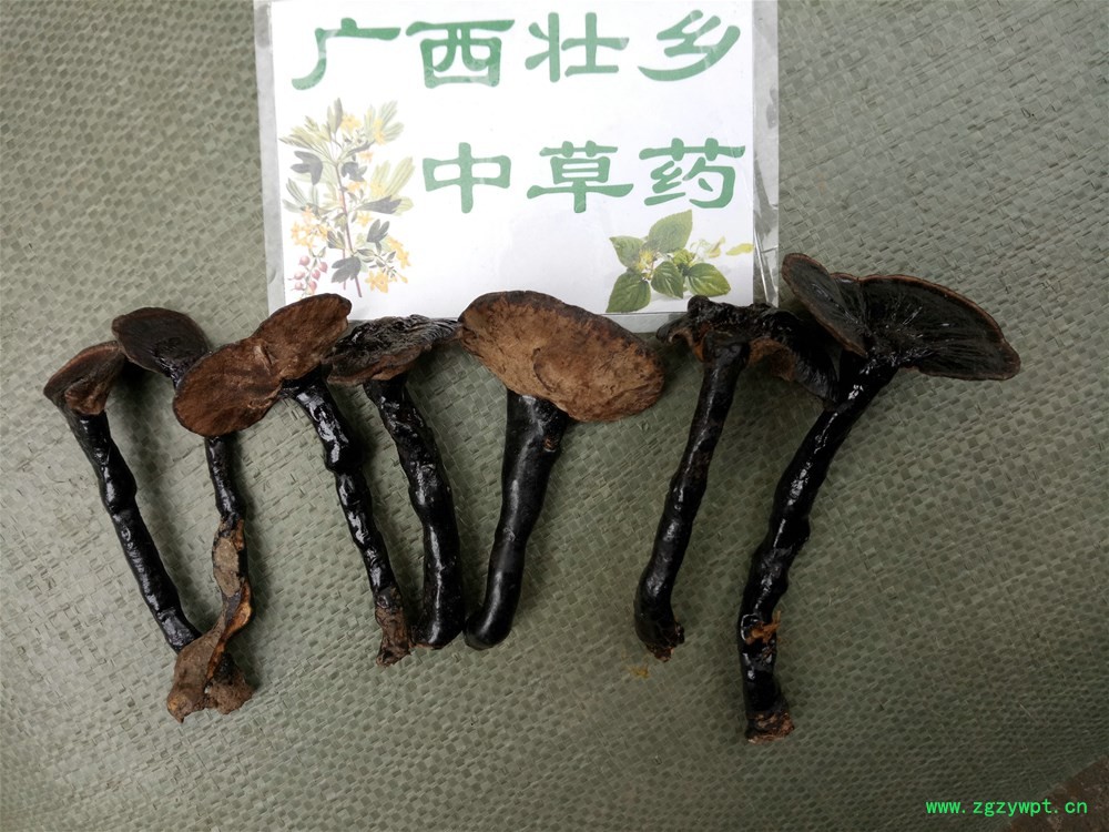 IMG_20180330_125105.jpg IMG_20180330_125105.jpg