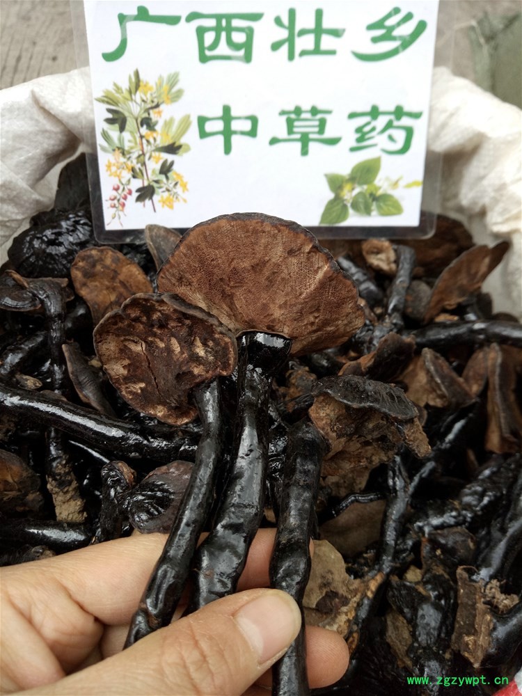 IMG_20180330_124844.jpg IMG_20180330_124844.jpg