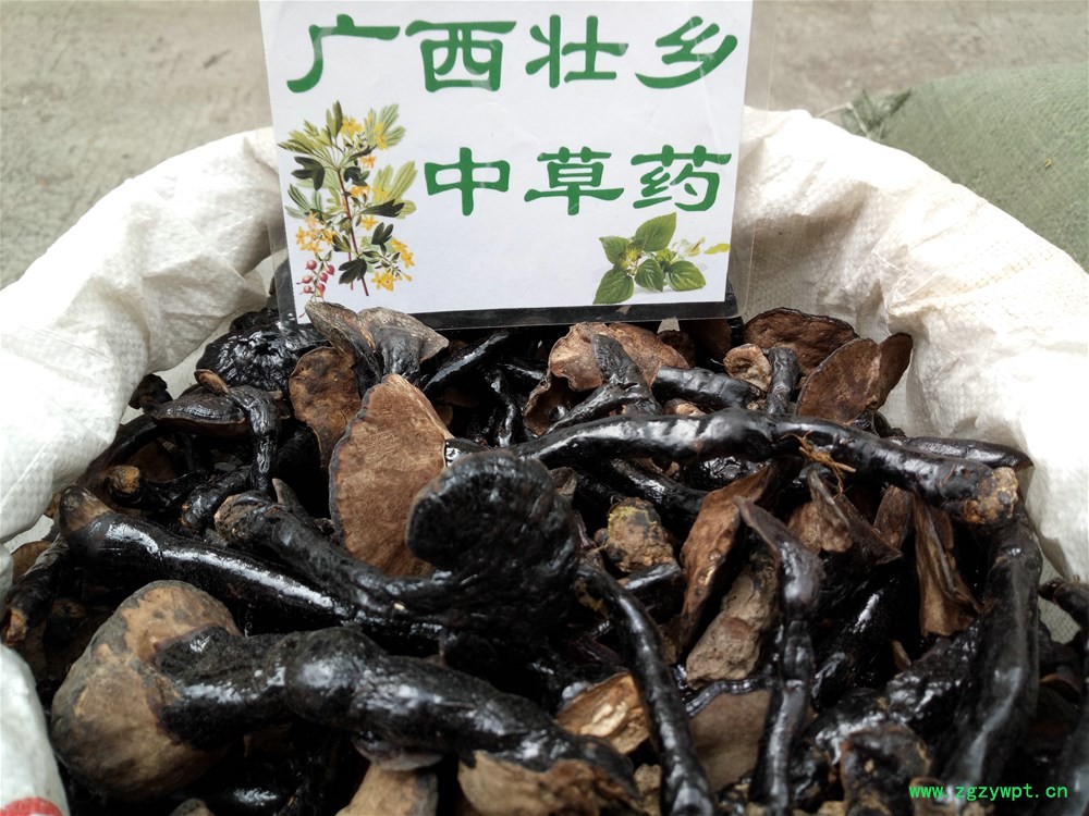 IMG_20180330_124600.jpg IMG_20180330_124600.jpg