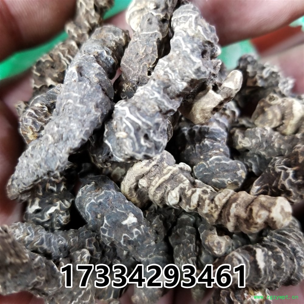 新建文件夹 (2)20190228_161159.jpg