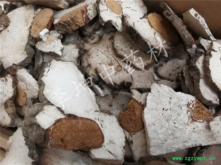 undefined 茯神 (1).jpg