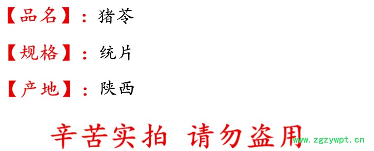 undefined 猪苓统片描述.jpg