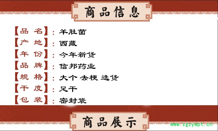 羊肚菌 信邦.jpg