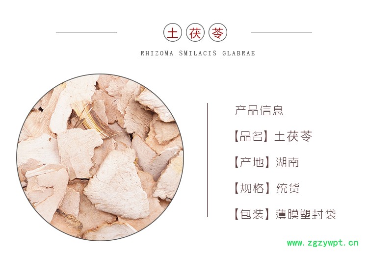 土茯苓_01.jpg
