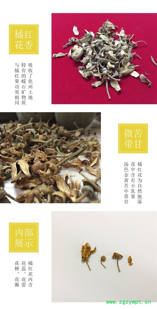 橘红花_03.jpg 橘红花_03.jpg