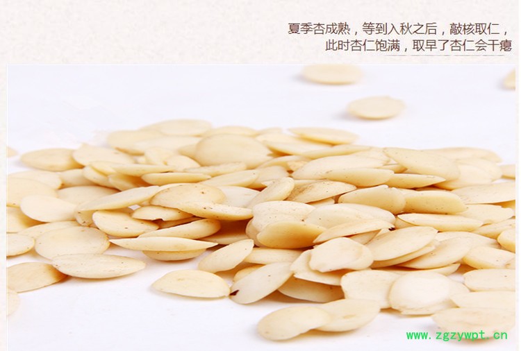 去皮苦杏仁5.jpg