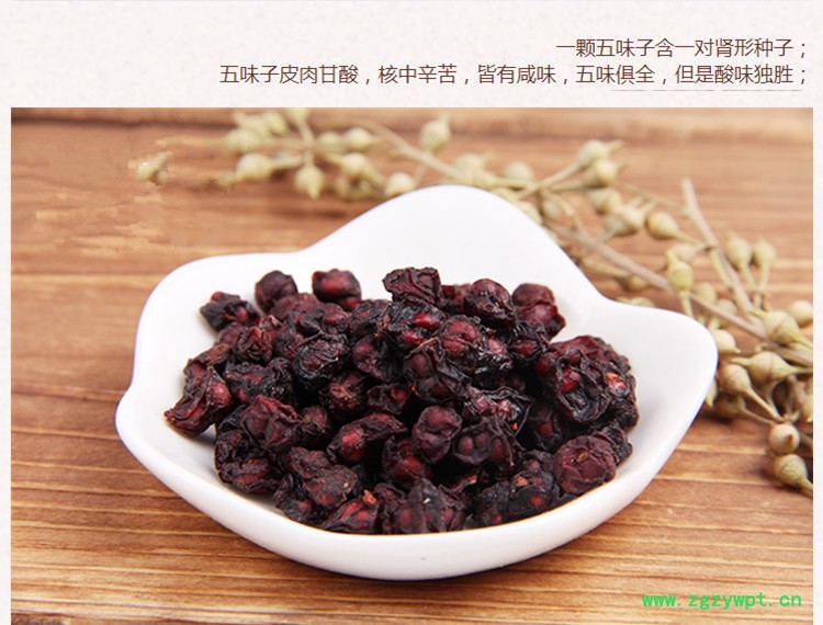 新五味子3.jpg
