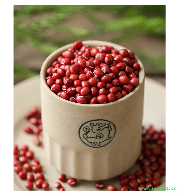 新红豆1.jpg