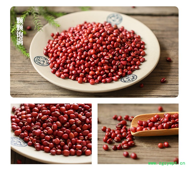 新红豆4.jpg