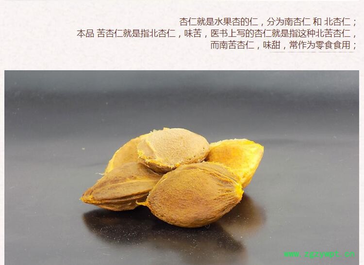 苦杏仁4.jpg