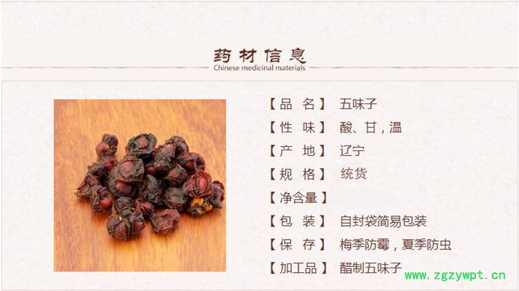 五味子1_副本.jpg