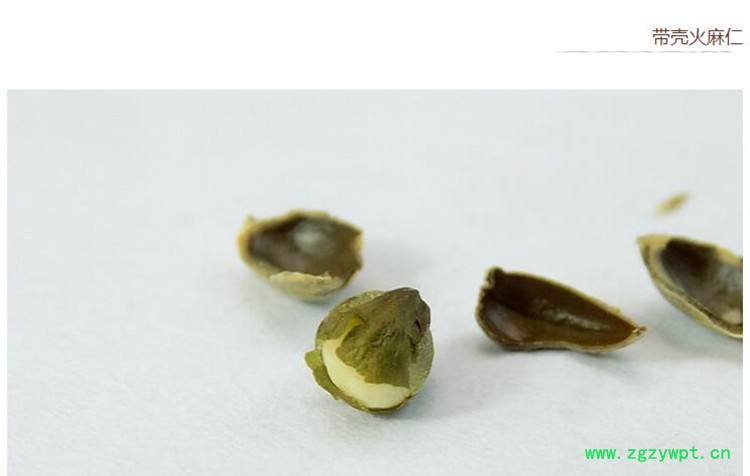 火麻仁3.jpg