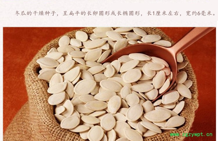 冬瓜仁3.jpg