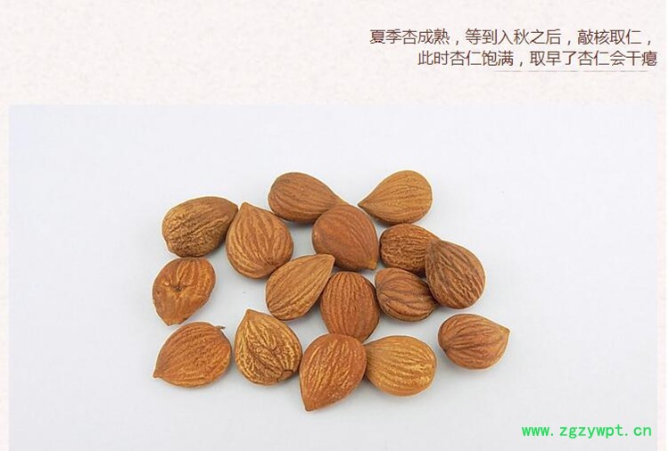 有皮苦杏仁5.jpg