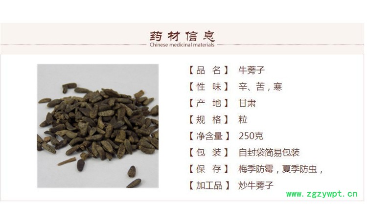 牛蒡子1.jpg