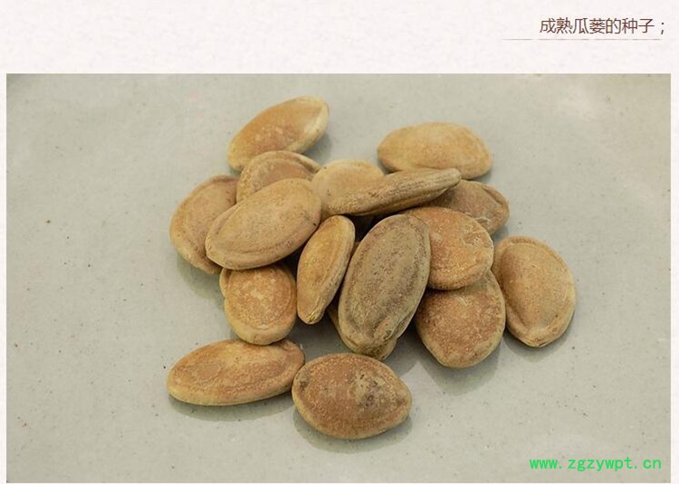 瓜蒌仁3.jpg