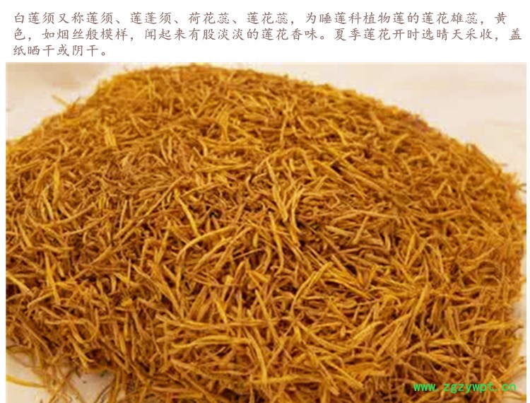 白莲须3.jpg
