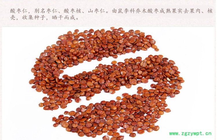 酸枣仁3.jpg