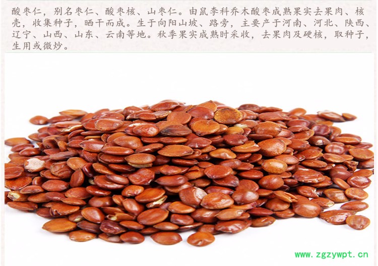 酸枣仁4.jpg