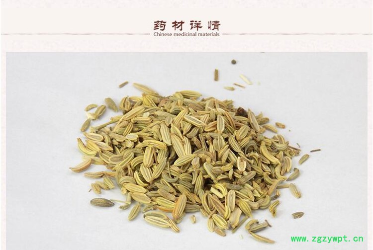 小茴香3.jpg