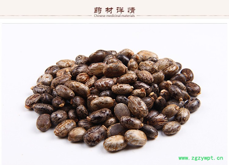 蓖麻籽2.jpg