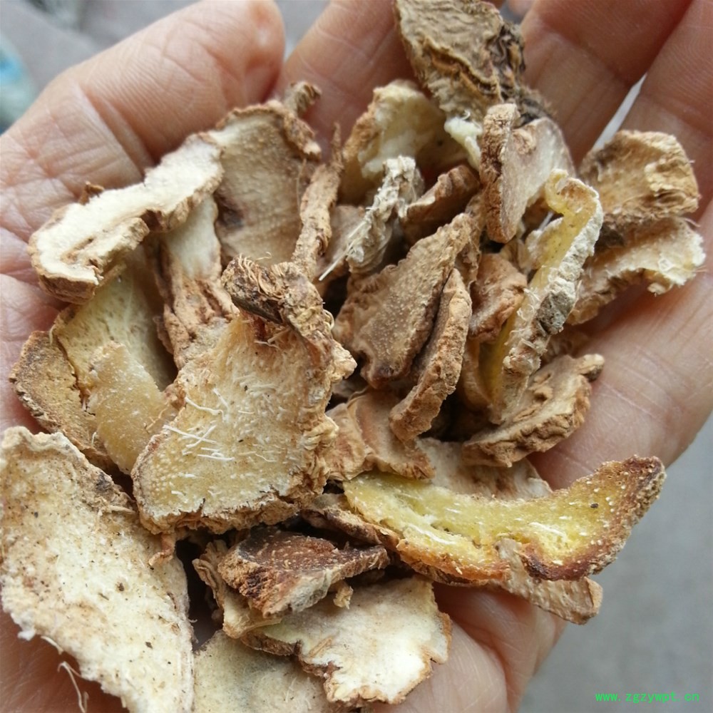 水白芨 (2)_meitu_1.jpg