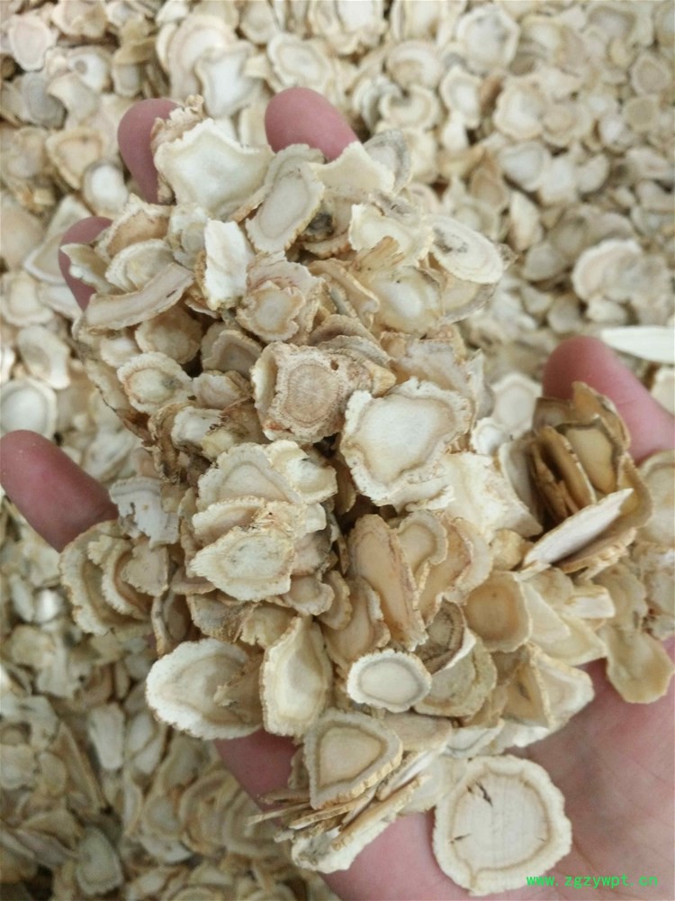 西洋参残次品大片 (1).jpg