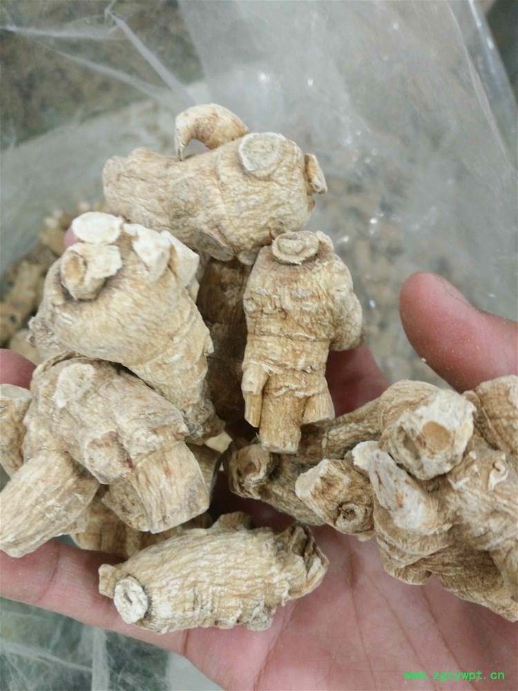 进口西洋参15克1150 (2).jpg