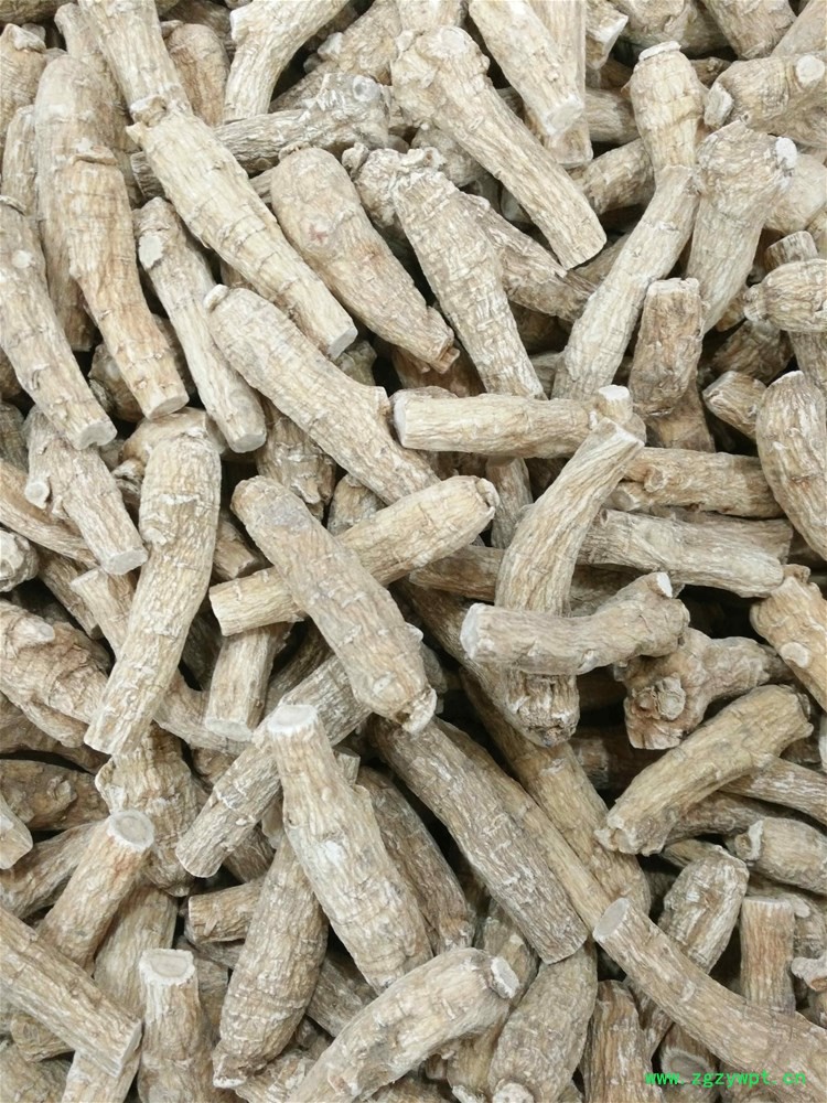 进口西洋参10g (3).jpg