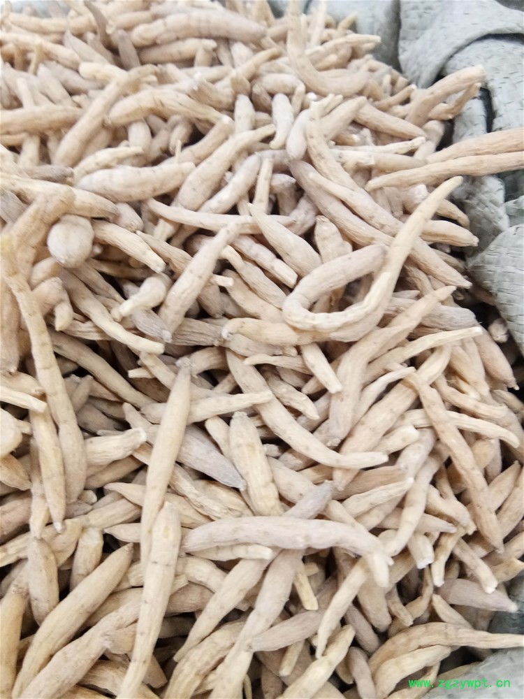 达克180个 (1).jpg