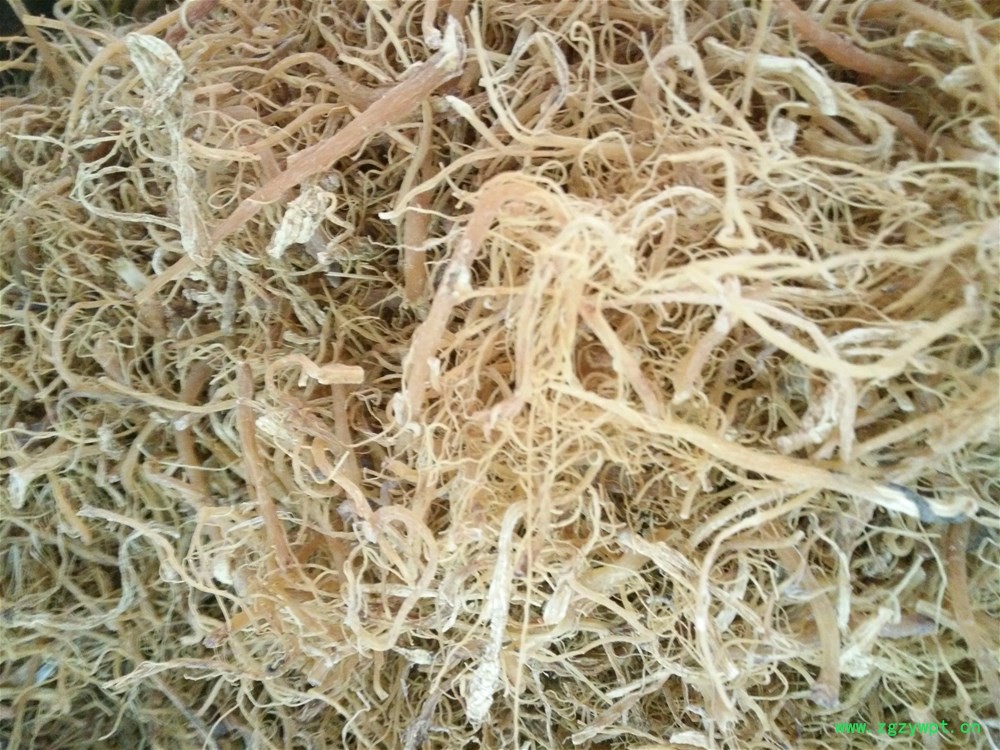 红参须150 (2).jpg