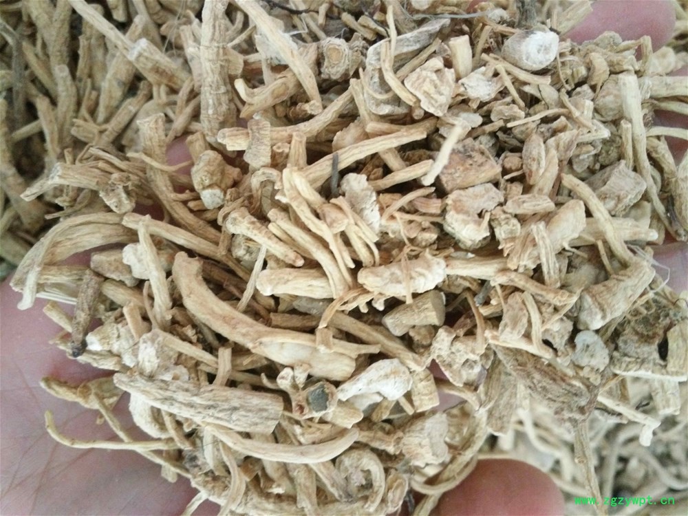 西洋参根条 (1).jpg