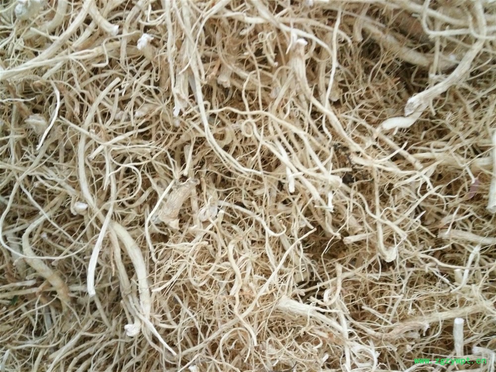 人参须150 (3).jpg