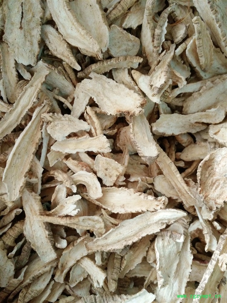 羊乳山海螺 (2).jpg