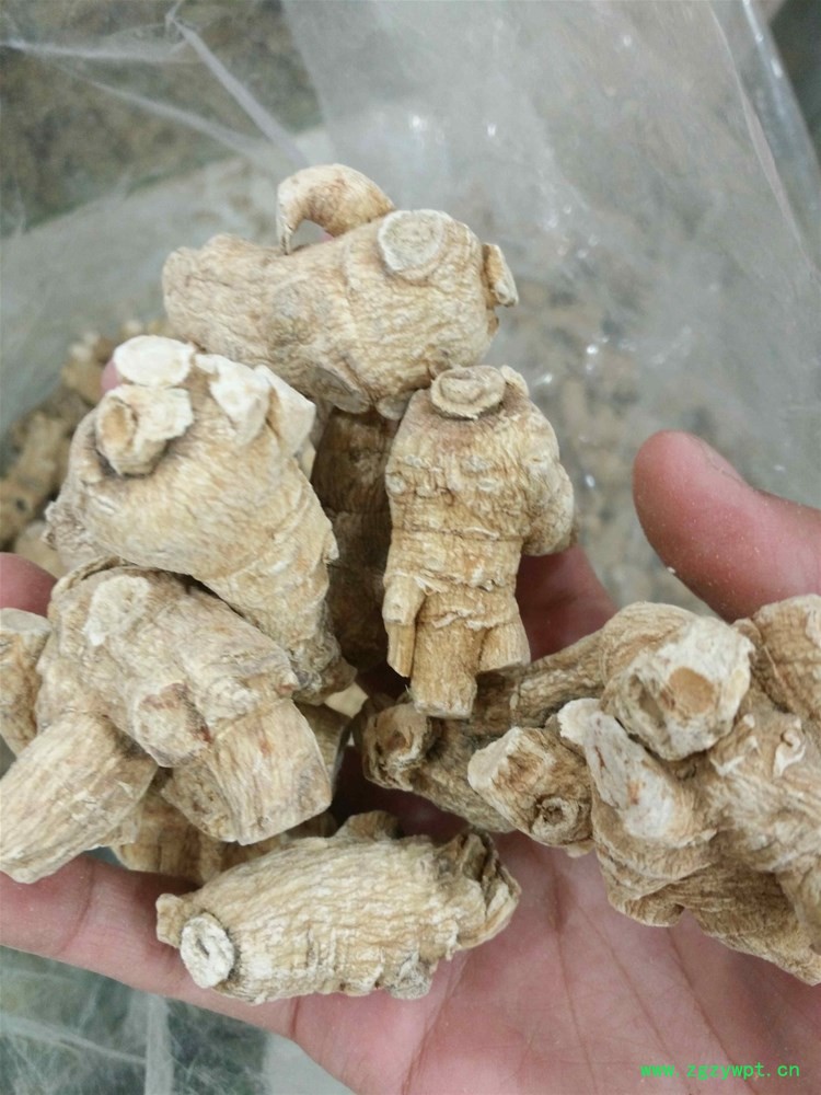 进口西洋参15克1150 (2).jpg