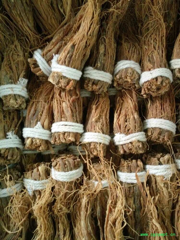 红参小超 (1).jpg