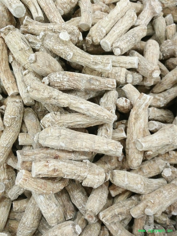 进口西洋参10g (1).jpg