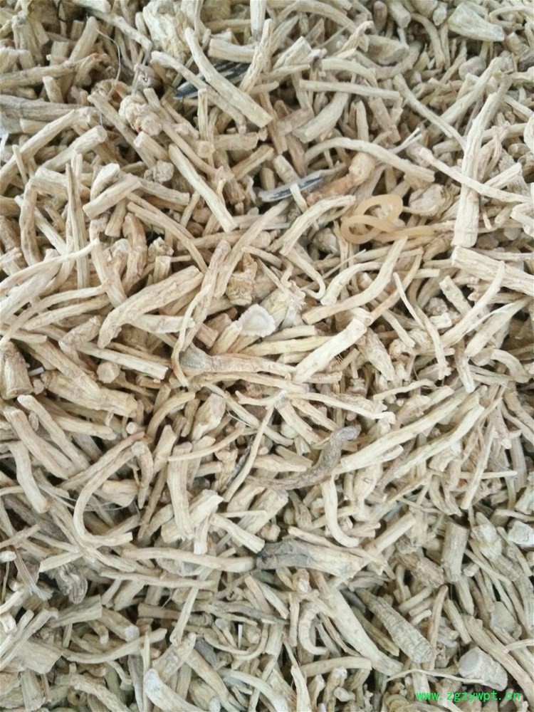 西洋参根条 (3).jpg