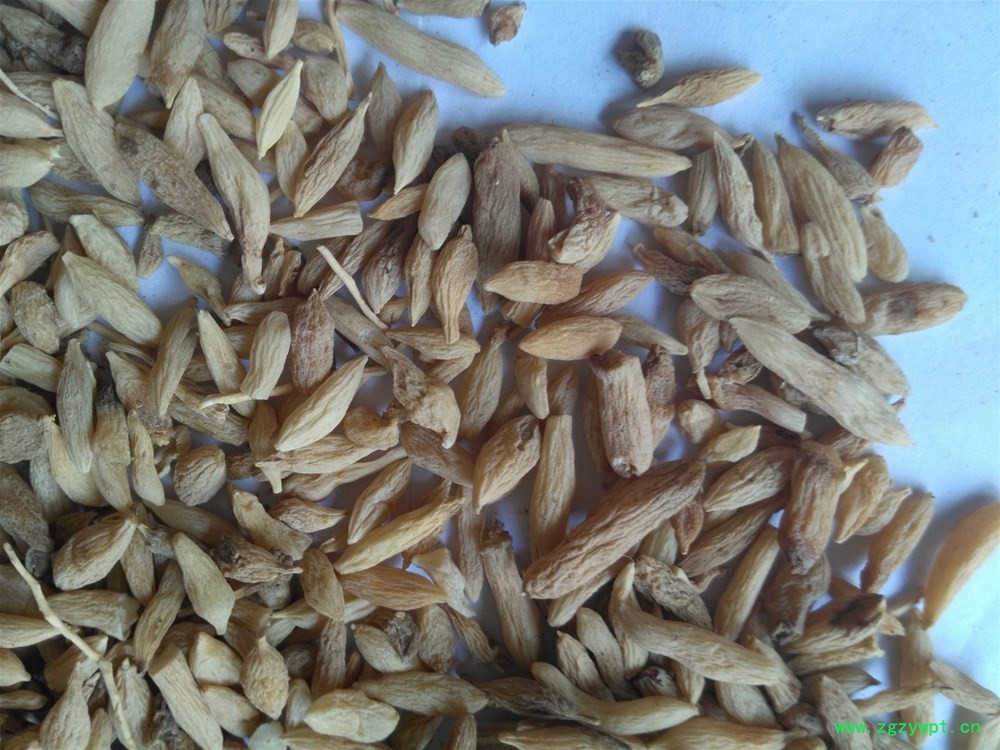 湖北麦冬粒子 (7).jpg