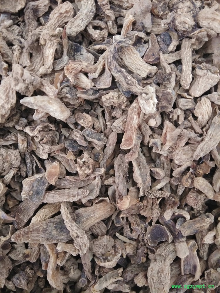 小天麻个子 (2).jpg