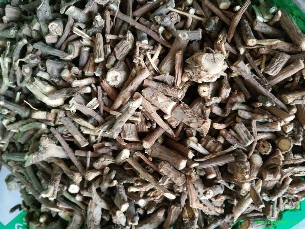 山西柴胡 (1).jpg