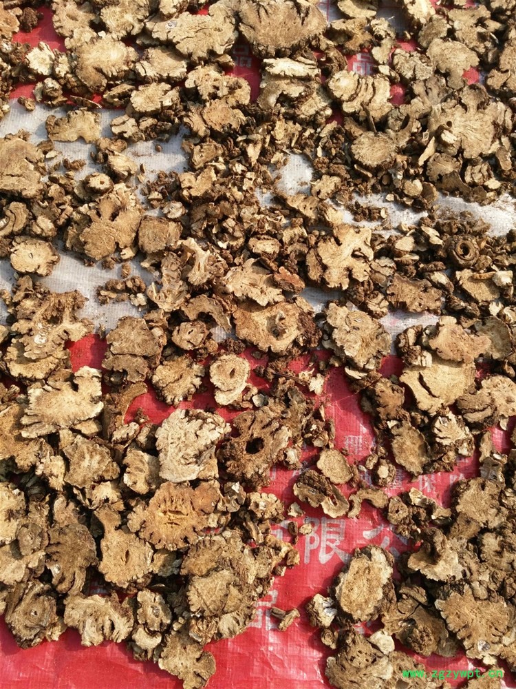 川芎统货 (2).jpg