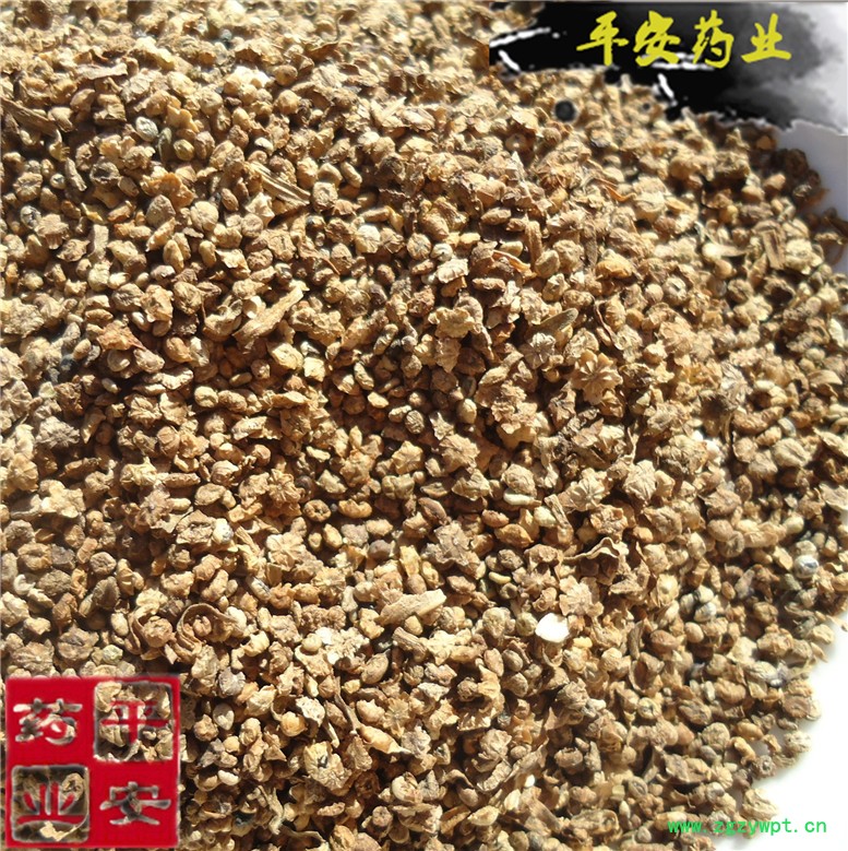 地肤子 (_副本.jpg