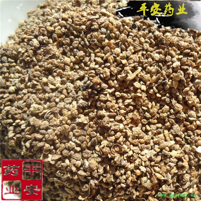 地肤子 (2_副本.jpg