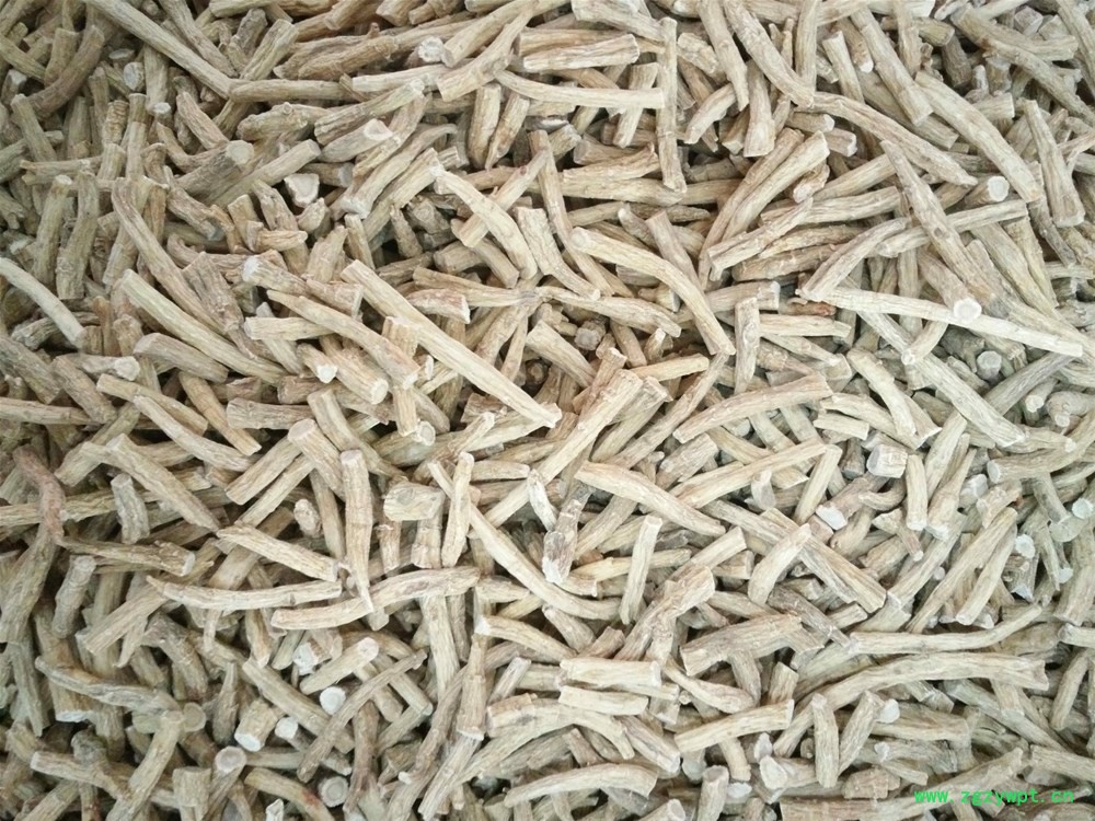 进口西洋参根条260 (2).jpg