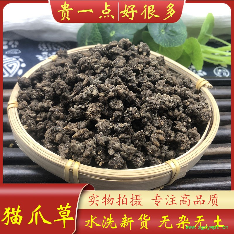 猫爪草主图1.jpg